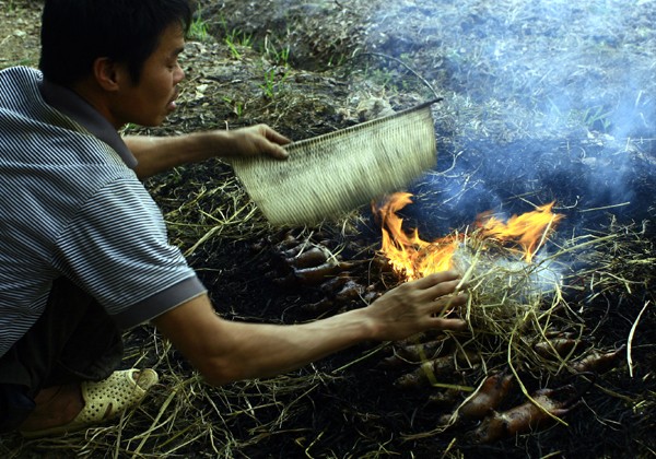 Trong khi đó, nhiều người nông dân ngoại thành Hà Nội cũng rất thích làm những món ngon bằng thịt chuột để đãi khách ngày Tết.